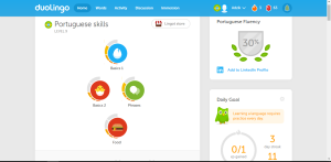 Duolingo dashboard